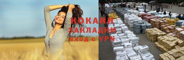 гидропоника Ладушкин