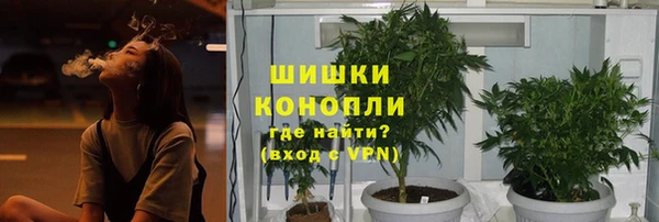 гидропоника Ладушкин