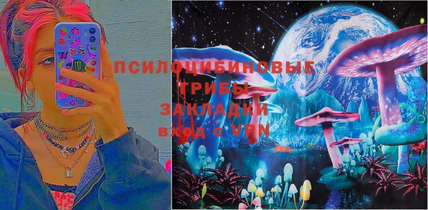 гидропоника Ладушкин